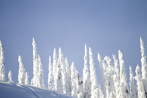 Sunshine Village Custom Onesie